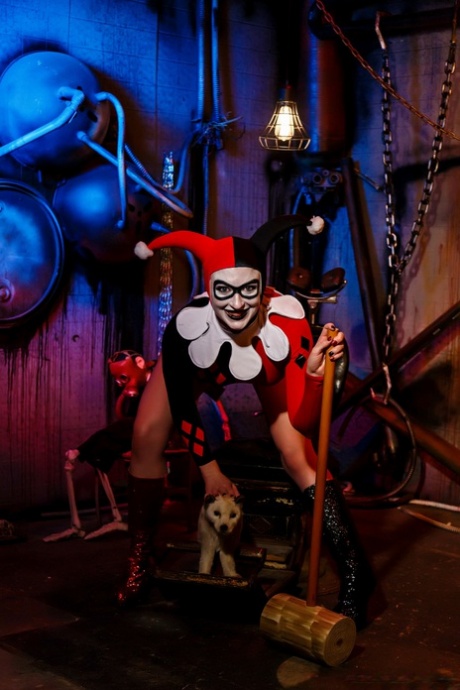 Harley Quinn modell vacker galleri